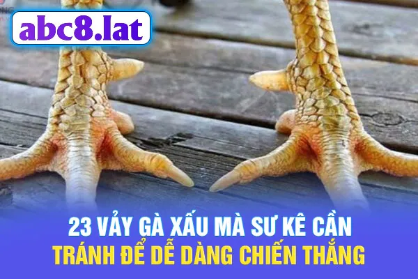 23 Vảy Gà Xấu Mà Sư Kê Cần Tránh Để Dễ Dàng Chiến Thắng