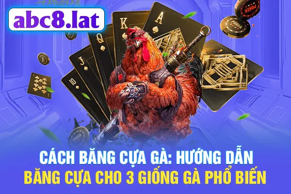 Cách Băng Cựa Gà: Hướng Dẫn Băng Cựa Cho 3 Giống Gà Phổ Biến