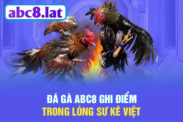 Đá gà ABC8 ghi điểm trong lòng sư kê Việt