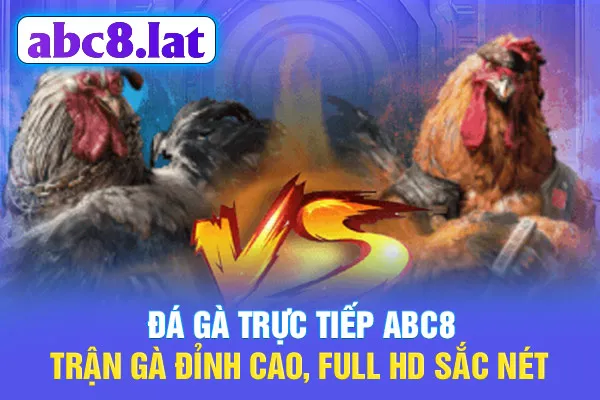 Đá Gà Trực Tiếp ABC8 - Trận Gà Đỉnh Cao, Full HD Sắc Nét