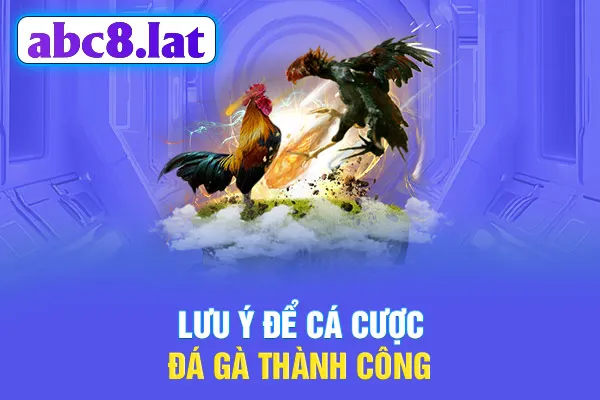 Lưu ý để cá cược đá gà thành công